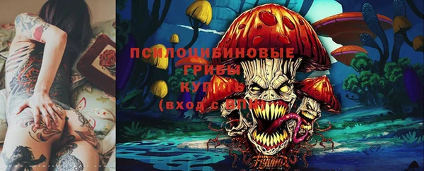 кокаин перу Дмитриев